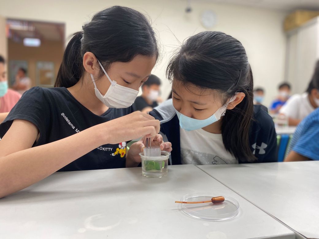 寰宇生物實驗課